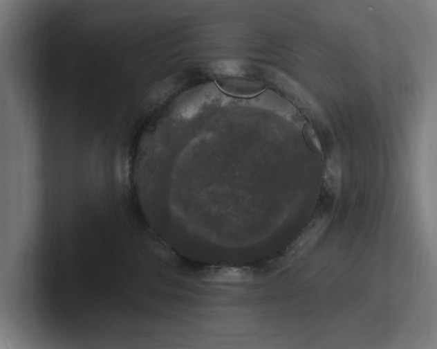 X0000102000330200808011127