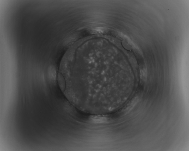 X0000102000331200808011127