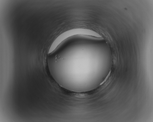 X0000102000332200808011127