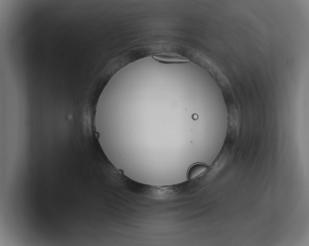 X0000102000333200808011127