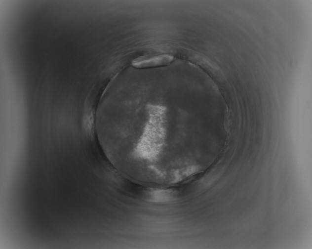 X0000102000336200808011127