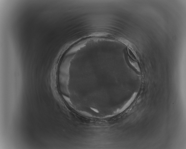 X0000102000337200808011126