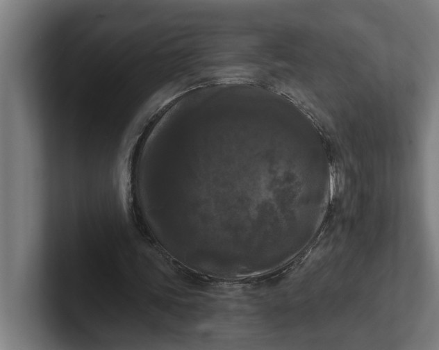 X0000102000339200808011126