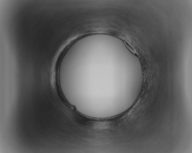 X0000102000342200808011126