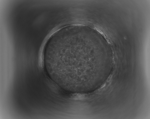 X0000102000343200808011126