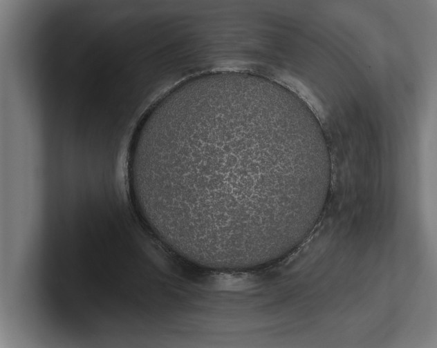 X0000102000346200808011126