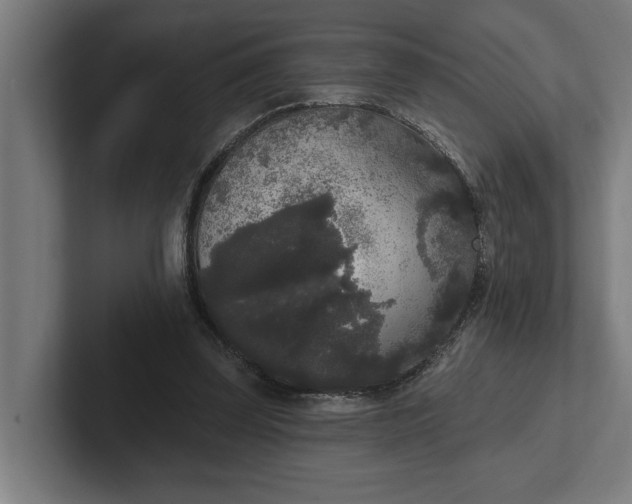 X0000102000347200808011126