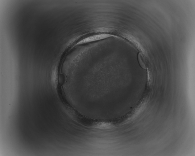 X0000102000348200808011126