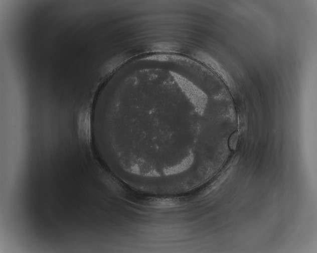 X0000102000349200808011126