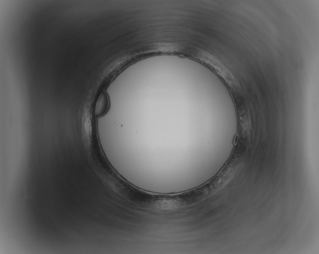 X0000102000350200808011126