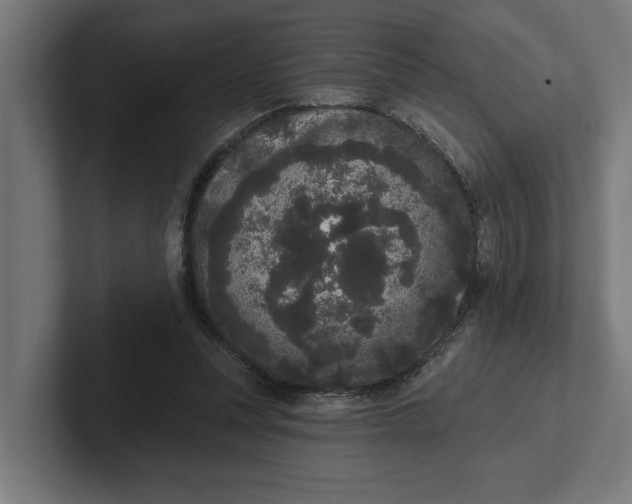 X0000102000351200808011126