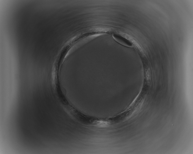 X0000102000352200808011126