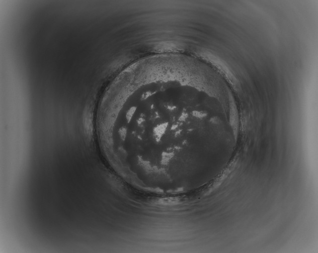 X0000102000353200808011126