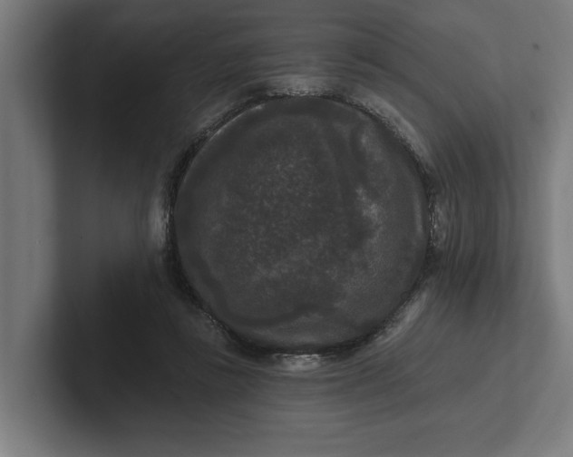 X0000102000355200808011126