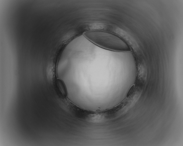 X0000102000356200808011126