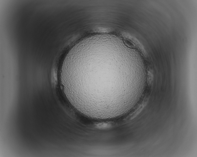 X0000102000358200808011126