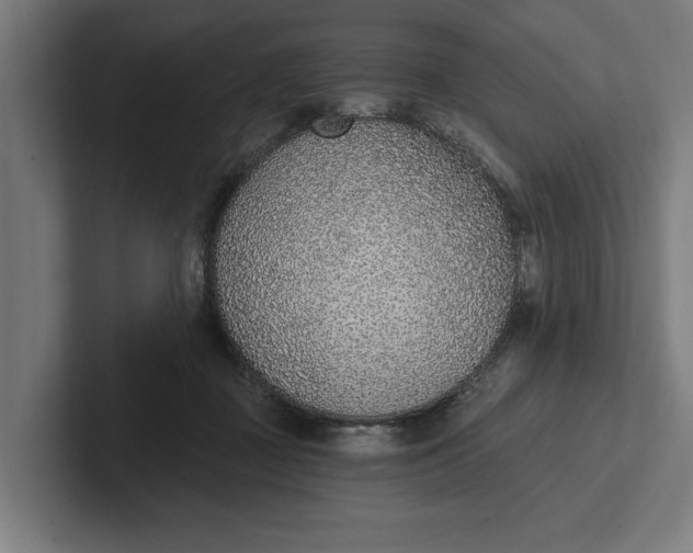 X0000102000363200808011126