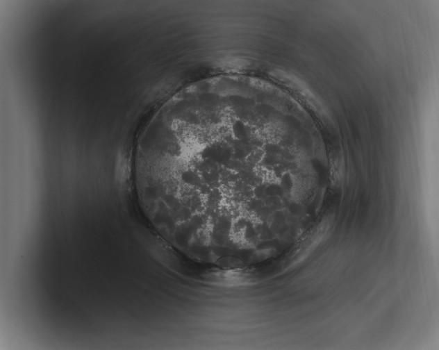 X0000102000365200808011126