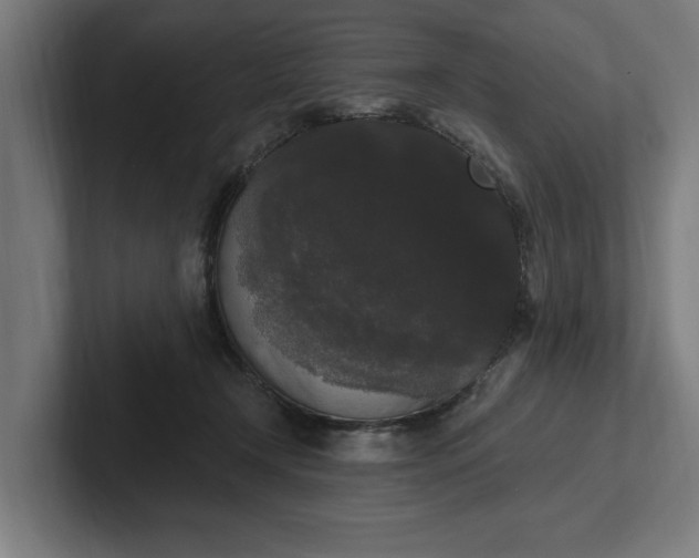 X0000102000366200808011126