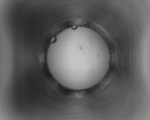 X0000102000368200808011126