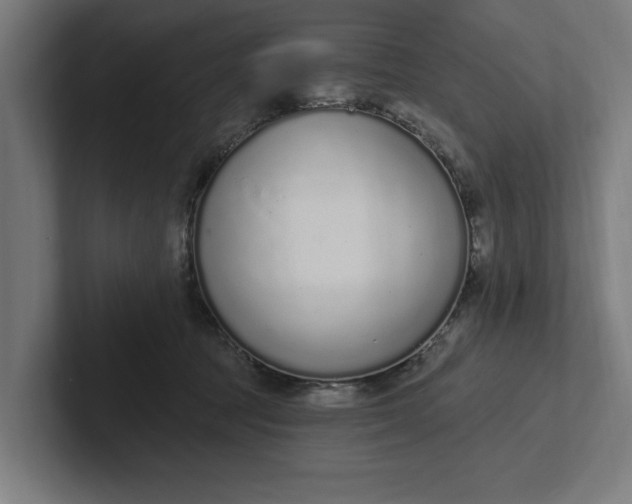 X0000102000369200808011126