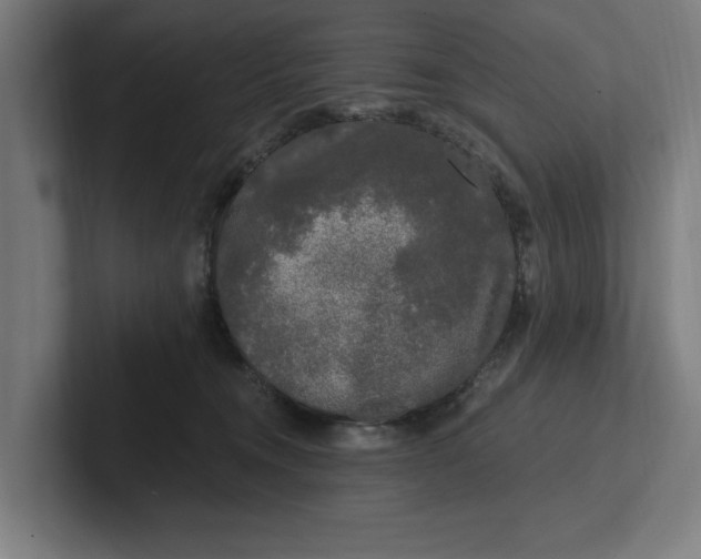 X0000102000372200808011127