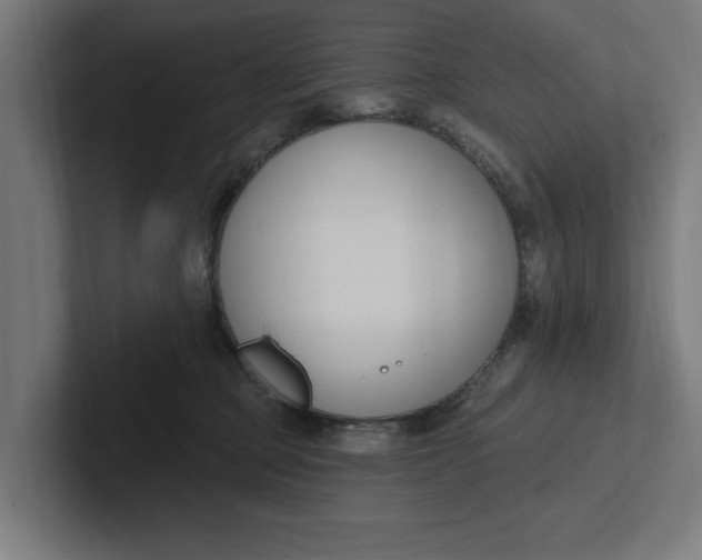 X0000102000373200808011127