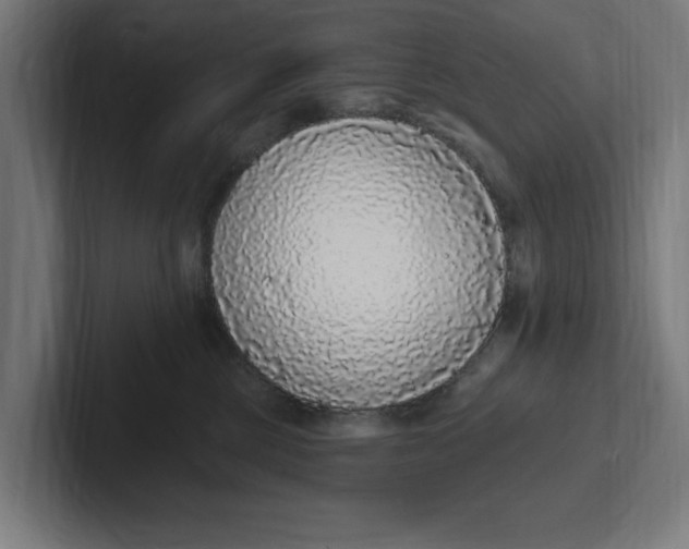 X0000102000377200808011127