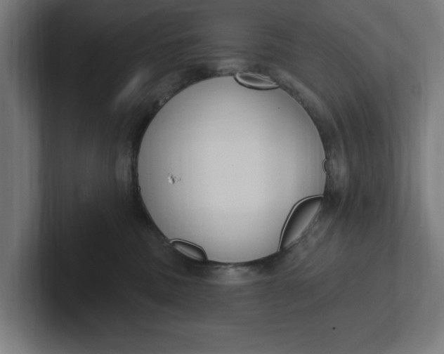 X0000102000379200808011127