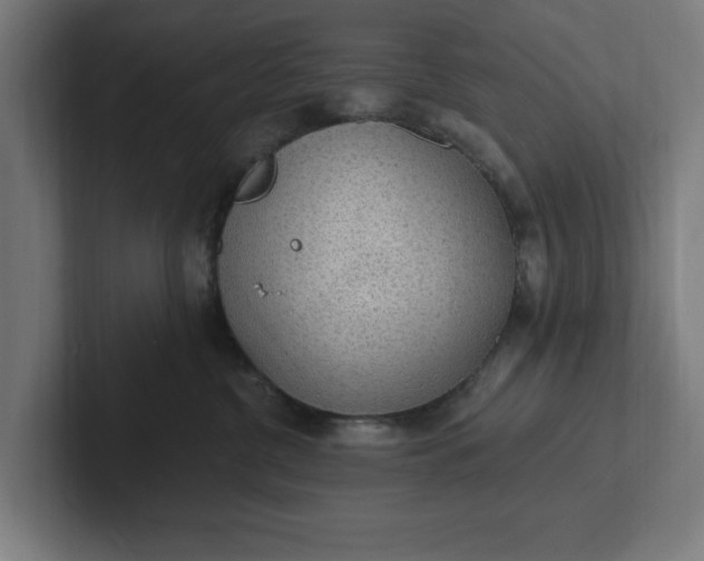 X0000102000380200808011127