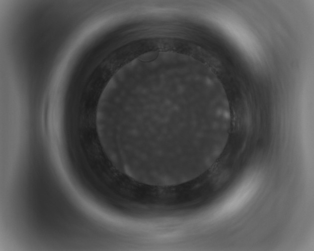 X0000102000383200808011127