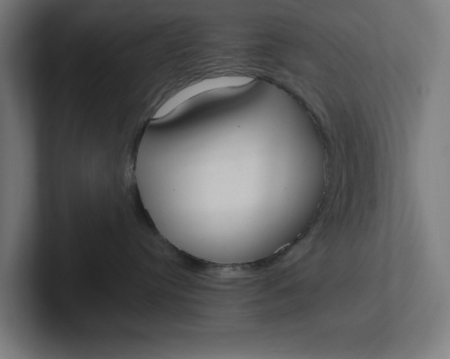 X0000102000384200808011127