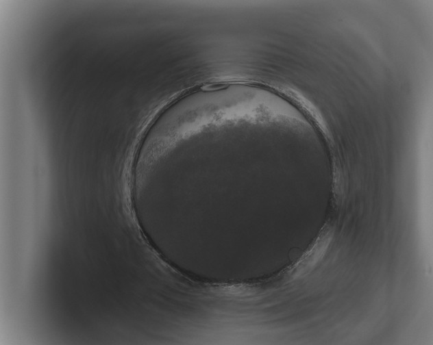 X0000102000385200808011126