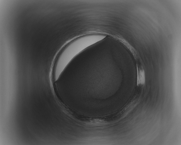 X0000102000387200808011126