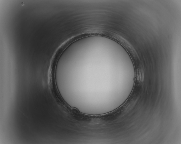 X0000102000388200808011126