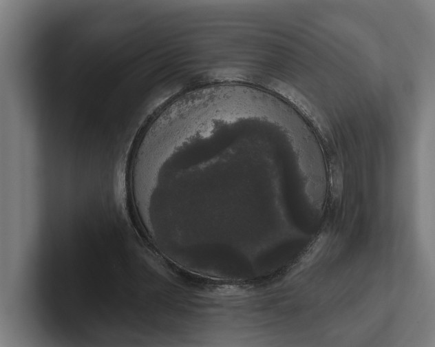 X0000102000390200808011126