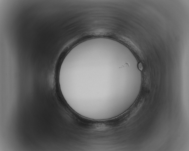 X0000102000392200808011126