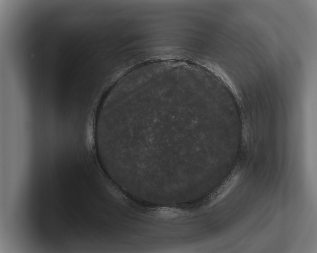 X0000102000393200808011126