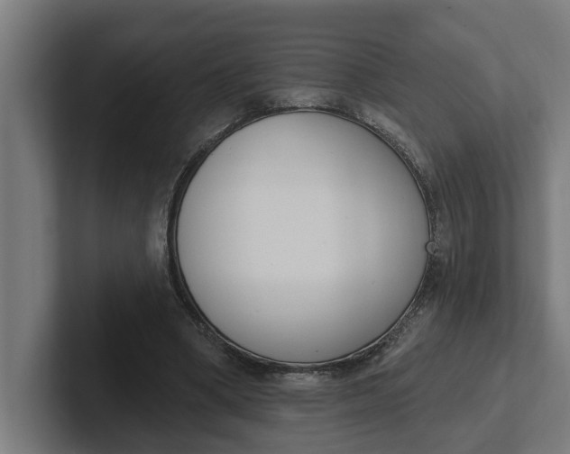 X0000102000394200808011126