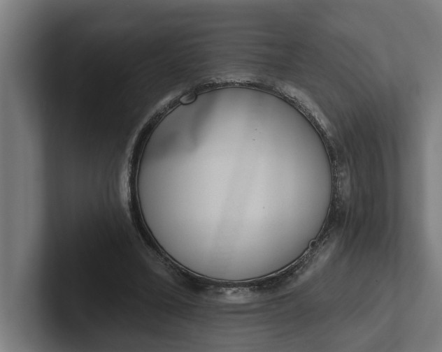 X0000102000395200808011126