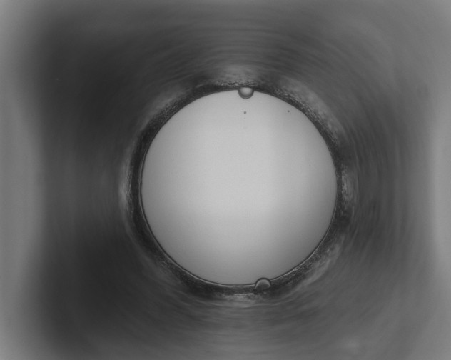 X0000102000396200808011126