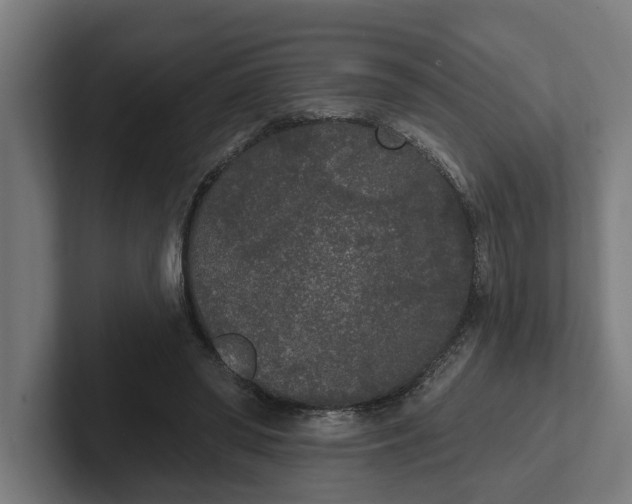 X0000102000398200808011126