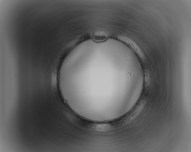 X0000102000401200808011126