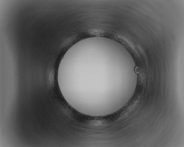 X0000102000404200808011126