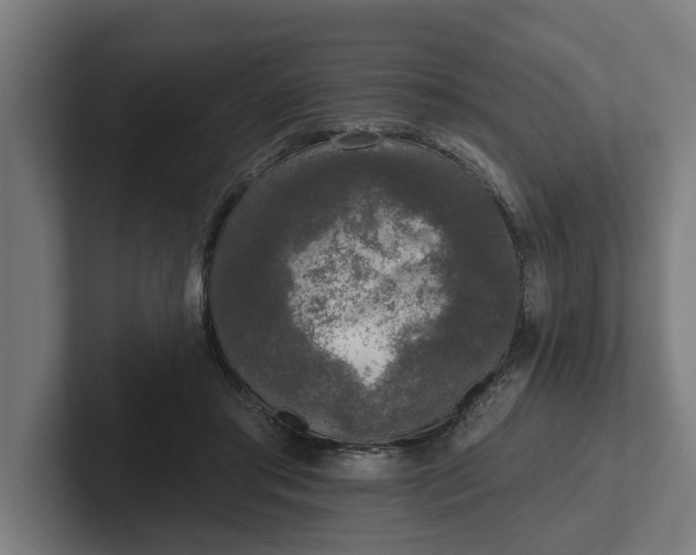 X0000102000405200808011126