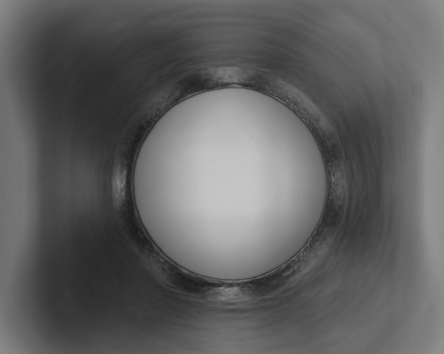 X0000102000406200808011126