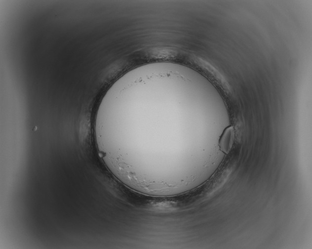 X0000102000407200808011126