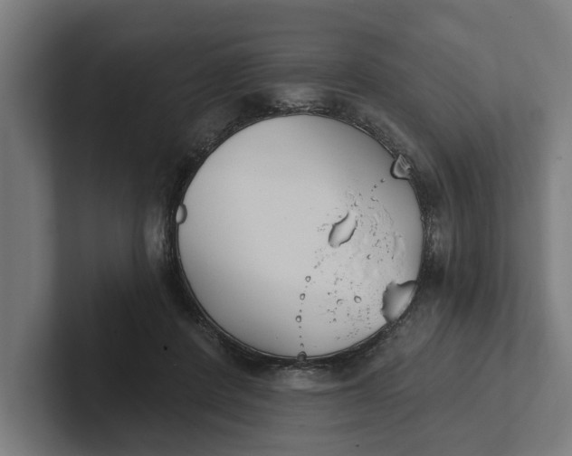 X0000102000408200808011126