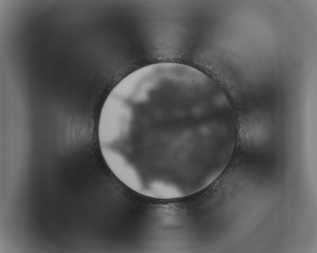 X0000102000411200808011126