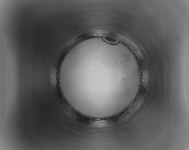 X0000102000413200808011126